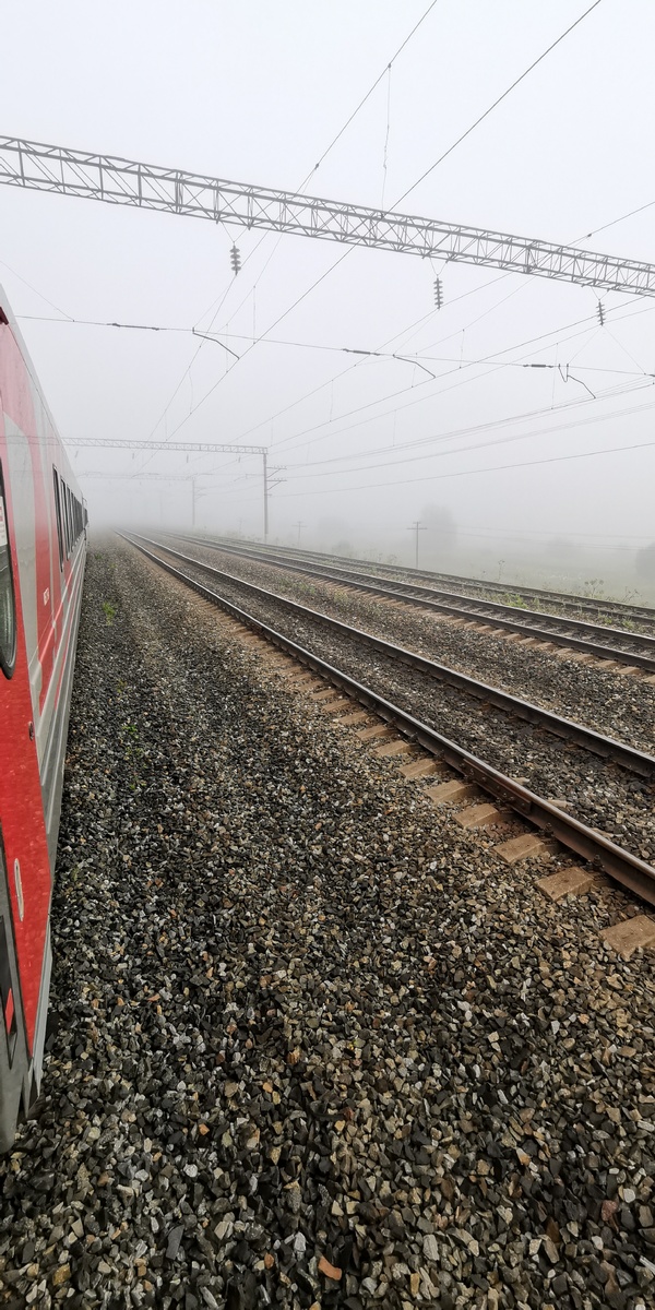 Путешествие на поезде @Domsad777 (виды поездок)