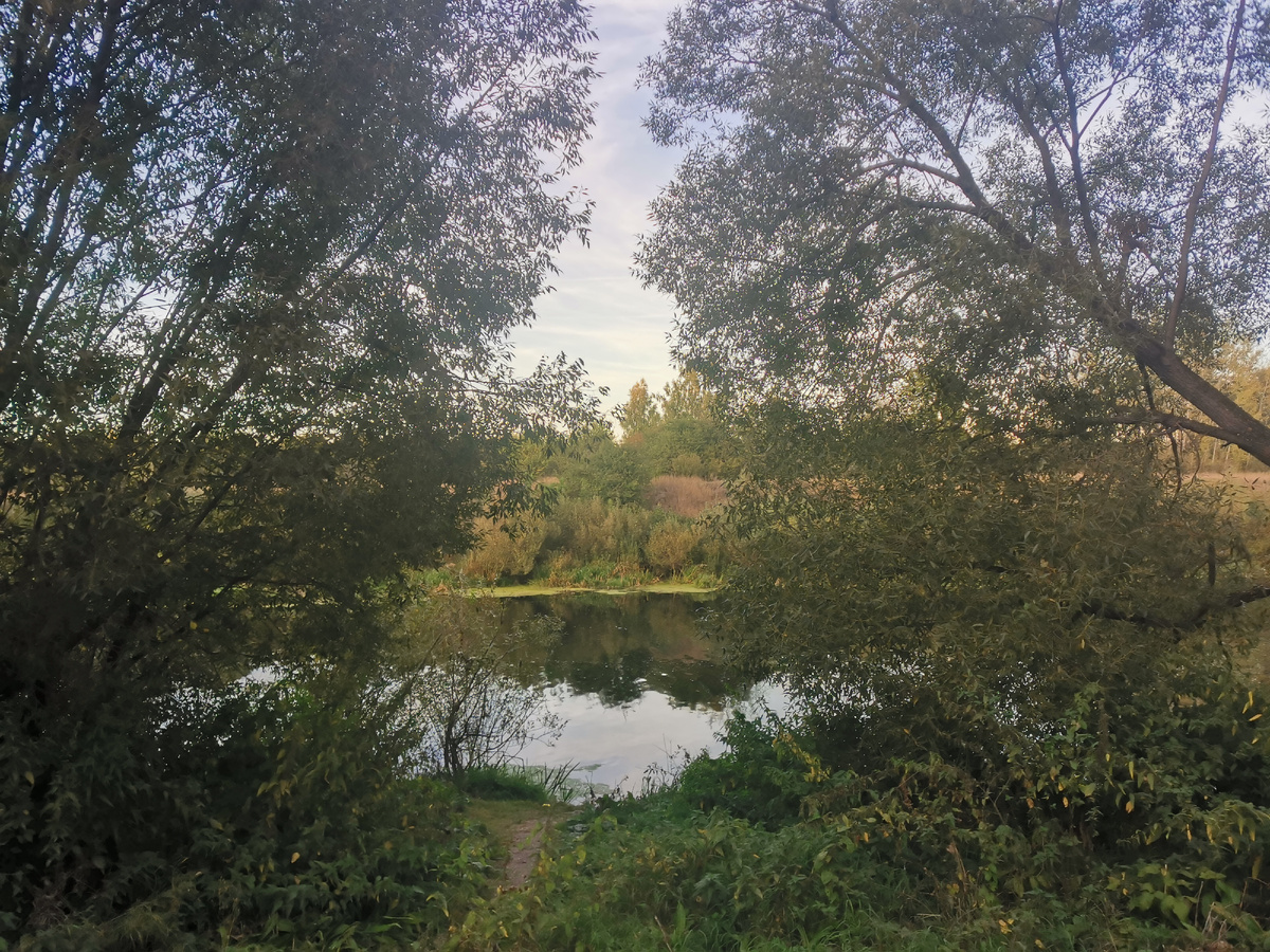 река Дон, у Прощенного колодца - прошлые выходные