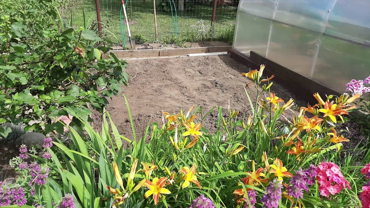 Переставили теплицу. Место освободилось.