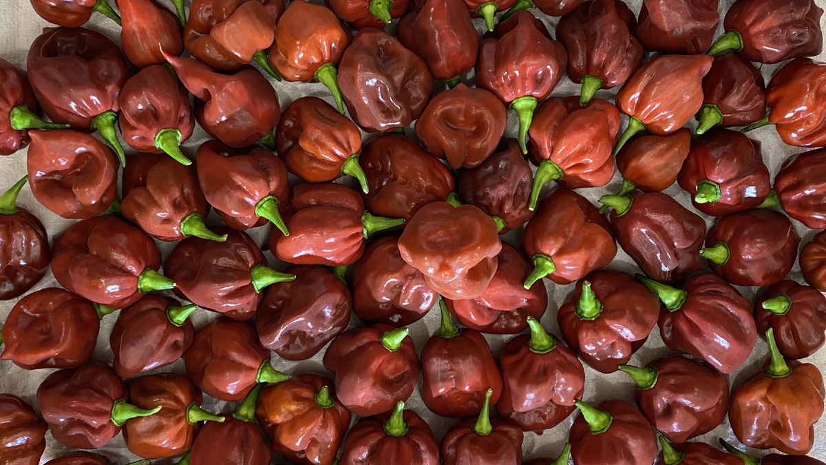 Почти обои для экрана