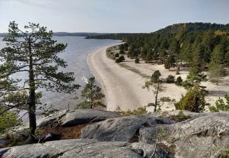 Остров Койонсаари. Вид на пляж с вершины скалы Хийси. Фото tour-is.ru. 