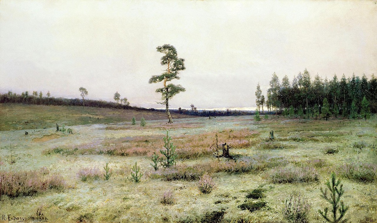  «Белый мох. На Севере». 1890-е. Холст, масло. 92 x 153 см. Ярославский художественный музей