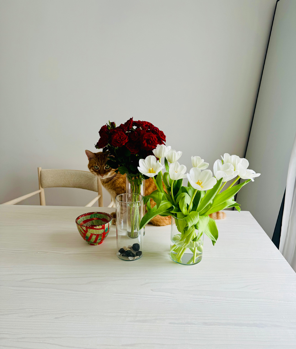 Ешьте рыбу, в ней белок! - говорит вам котенька