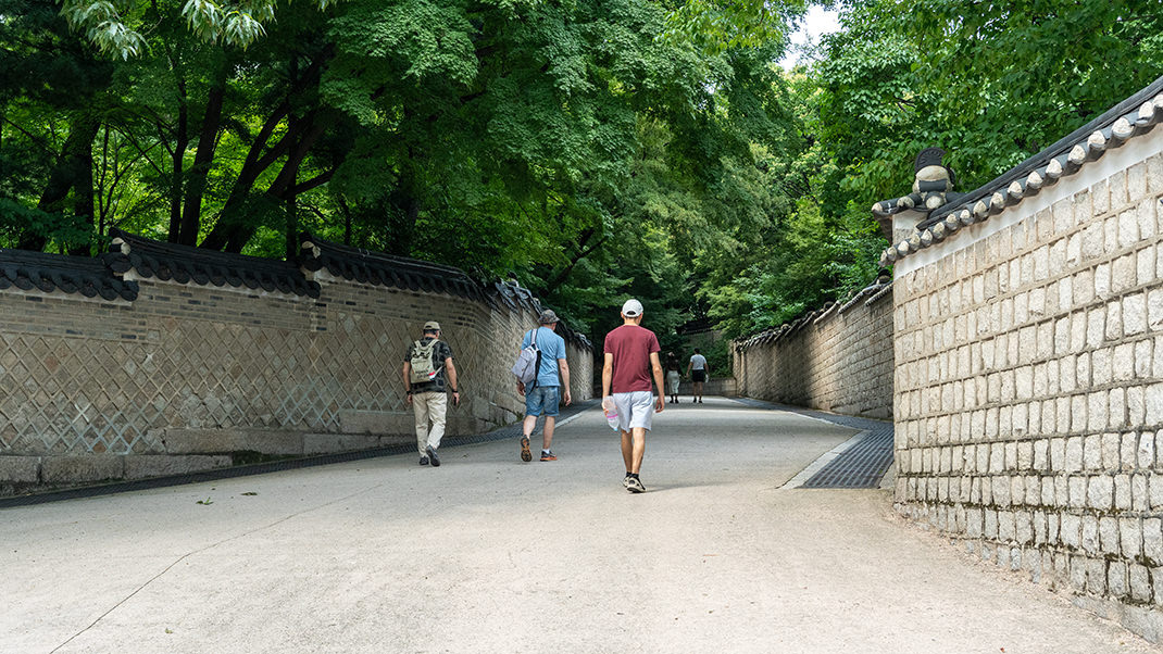 Дорога к саду