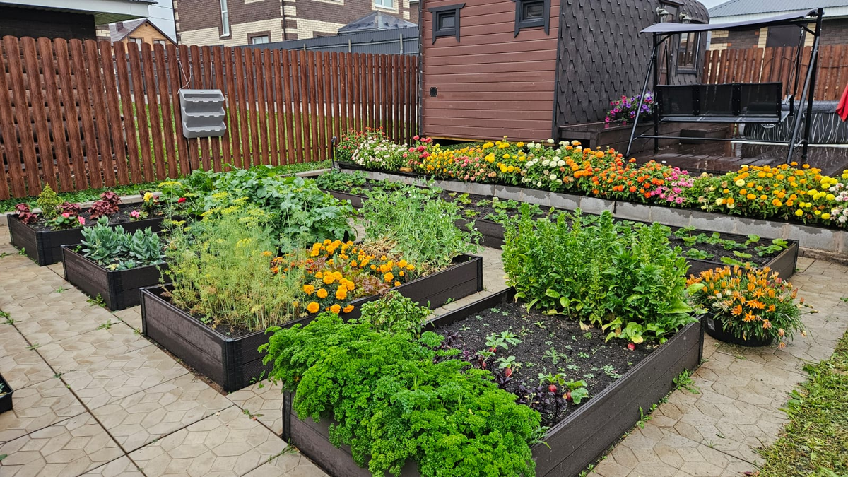 У нас на дворе 25 сентября, а грядки - как будто летом