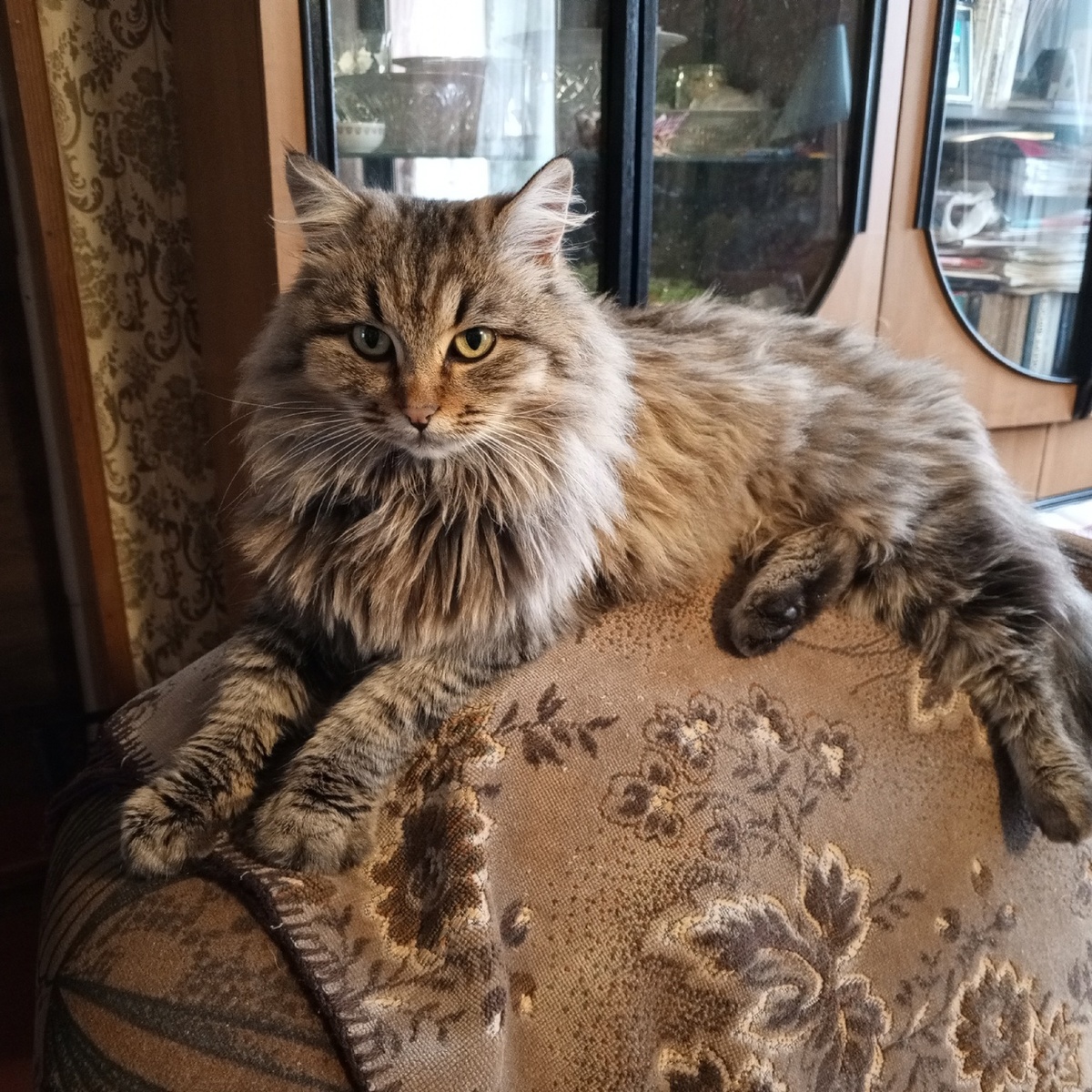 Кузя собственной персоной