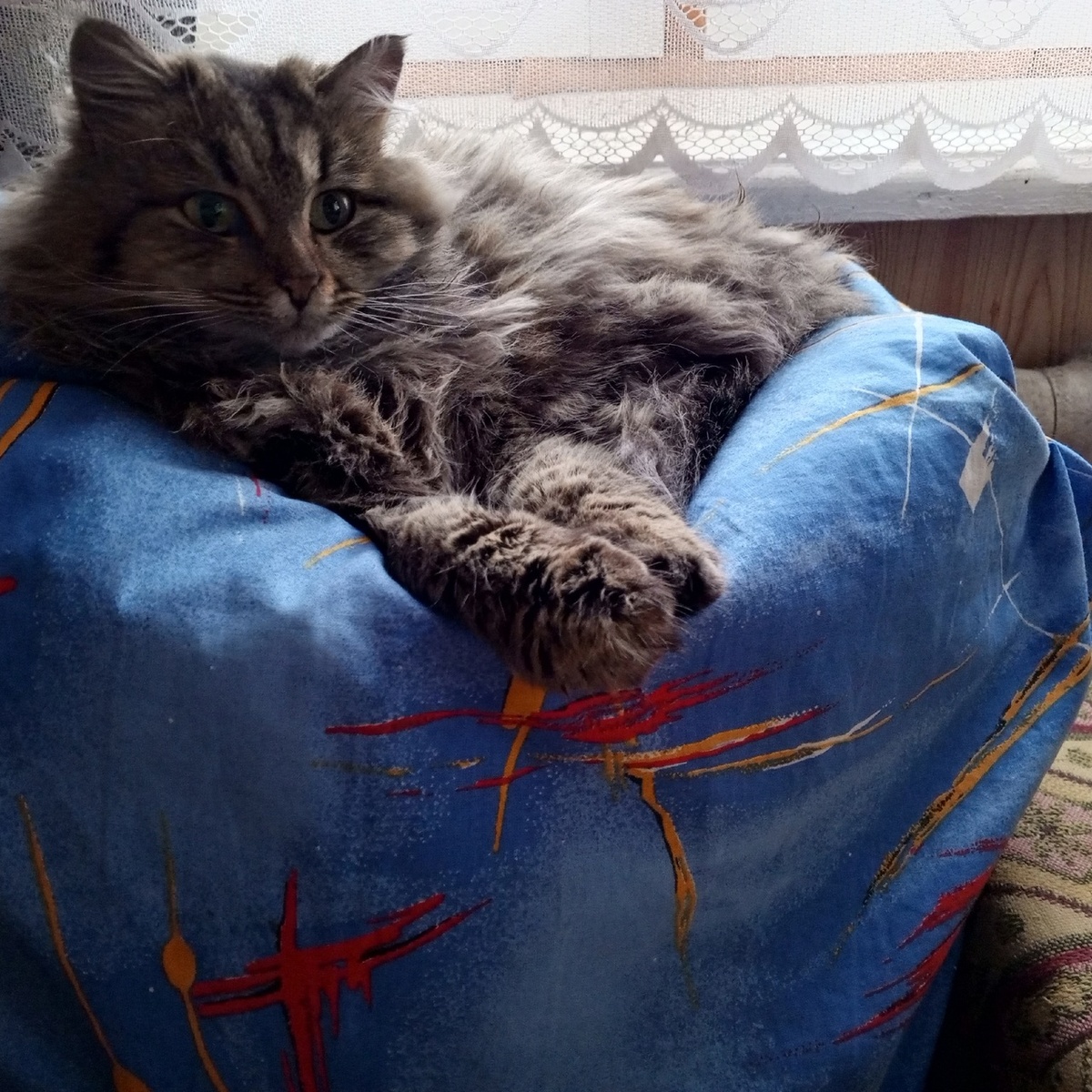 мягкое лежбище