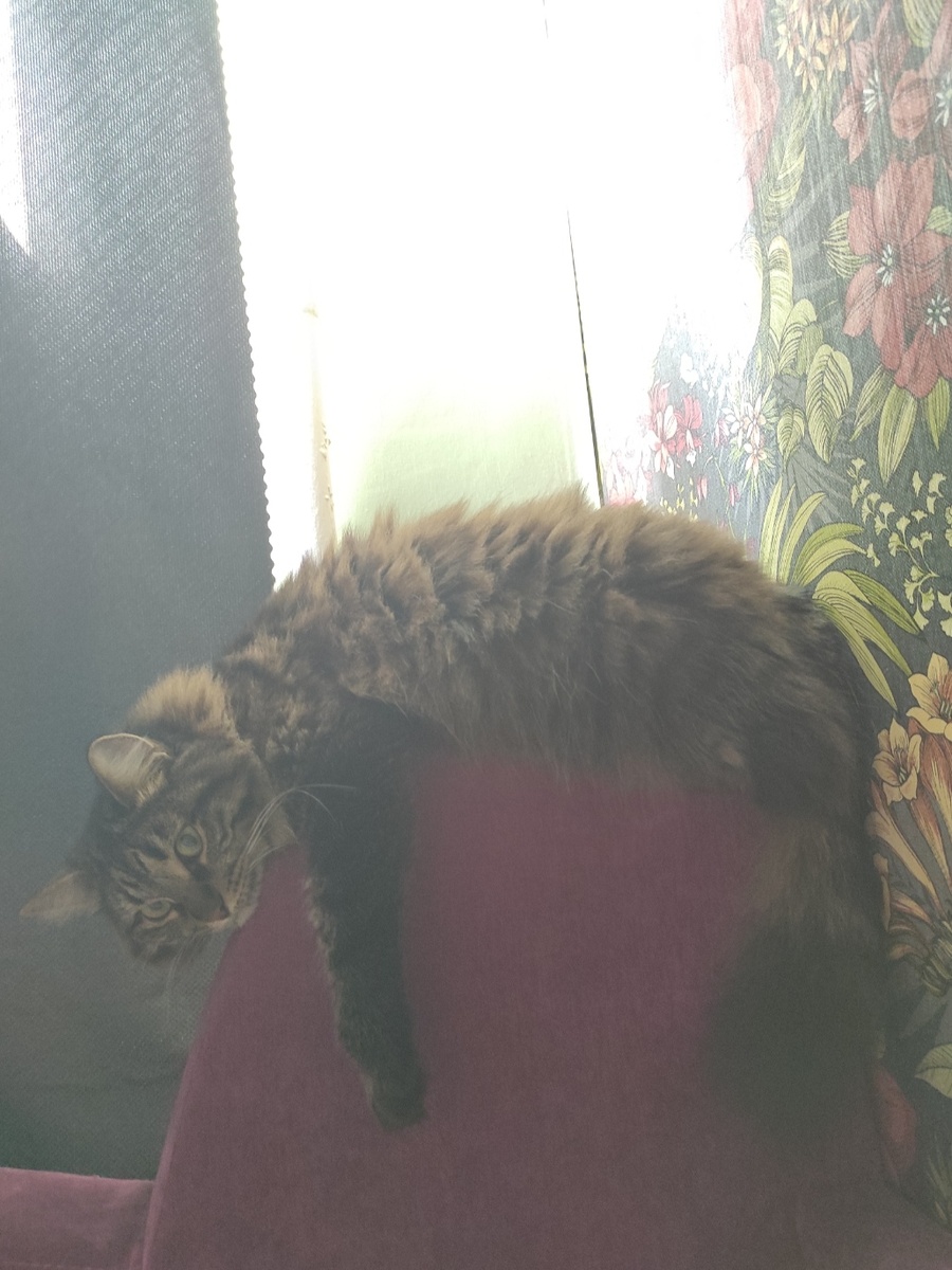 Да, мне так удобно