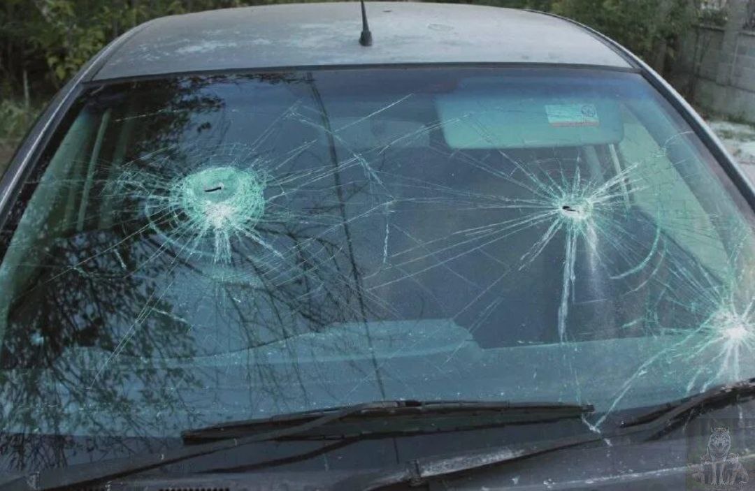 Птички немного пошалили