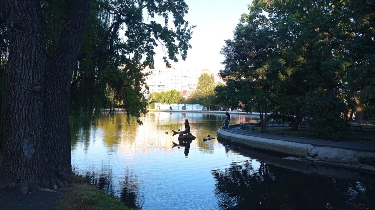    Губернатор Бусаргин сделал заявление о городском парке в СаратовеНовости Саратова и области – Сетевое издание «Репортер64»