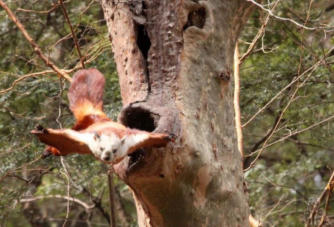 А ну все разбежались 