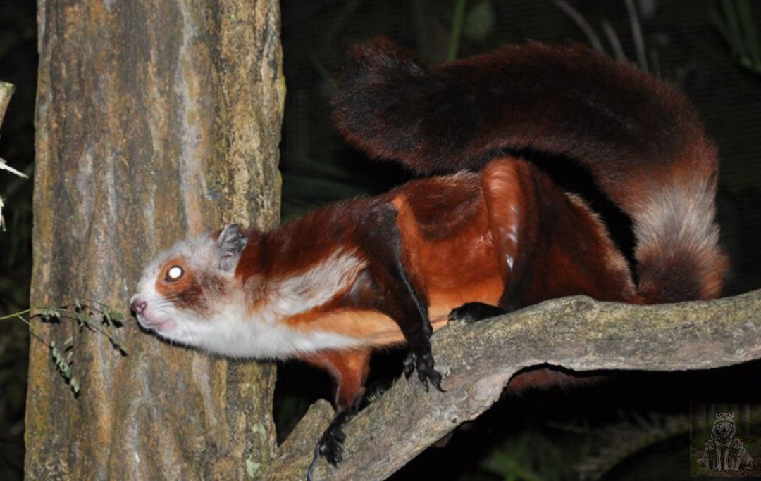 Я после 6 не ем вы что. Это я так погулять вышла