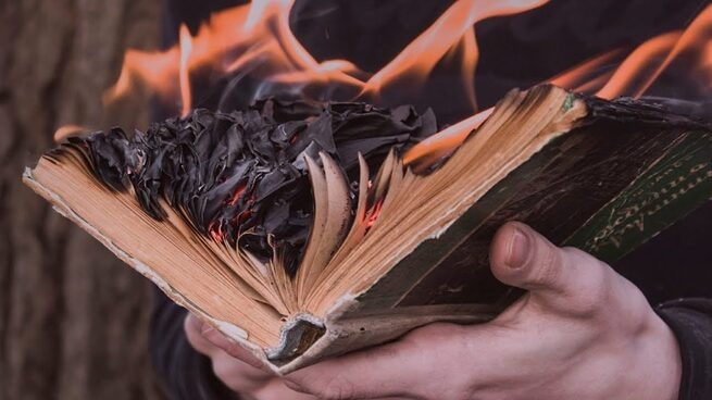 Взято из: Яндекс Картинки