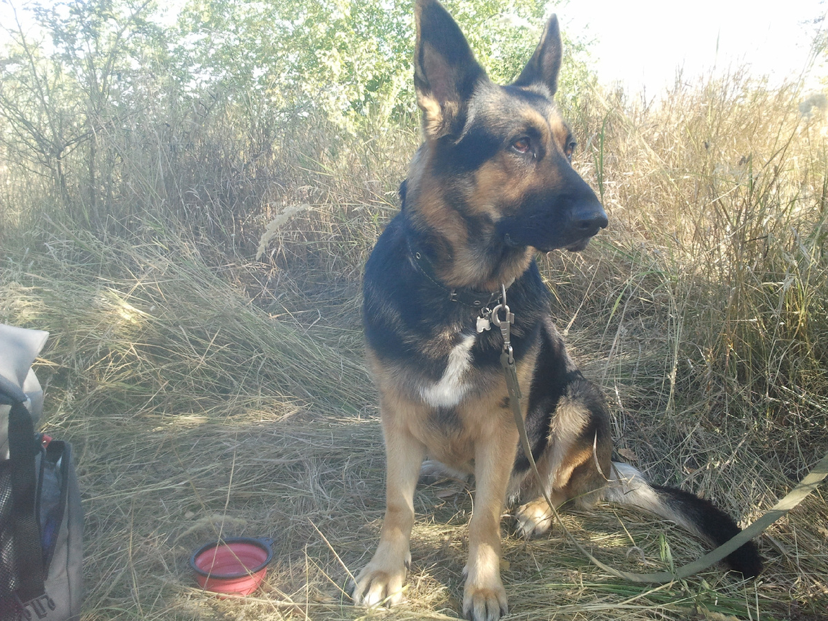 Фото автора