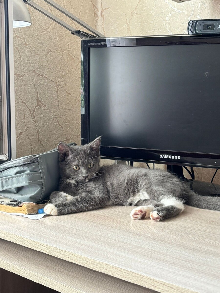 Главный смотрящий♥️