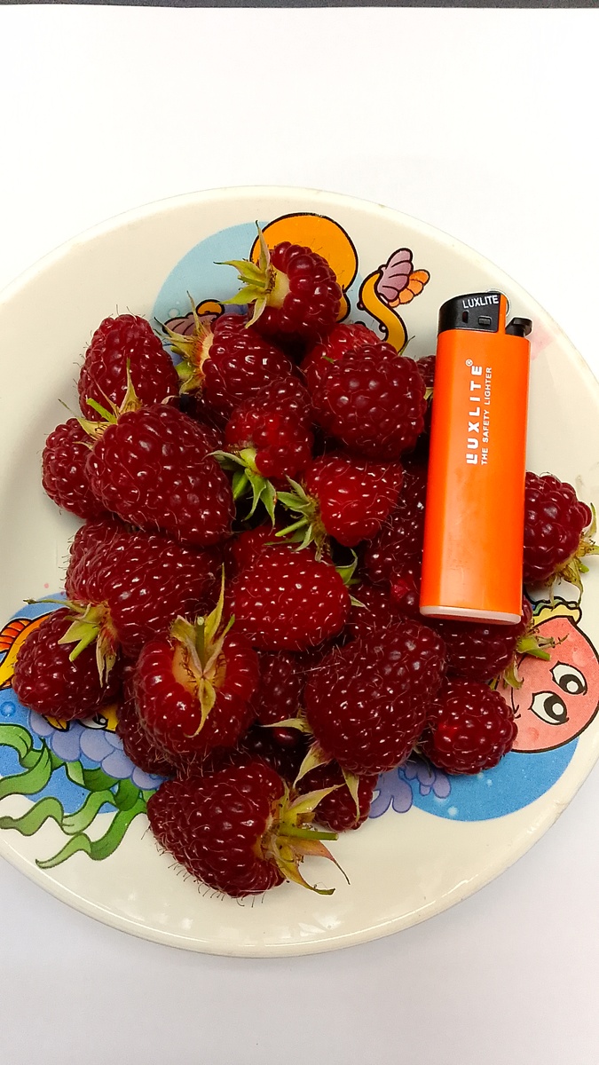 Урожай 26 сентября