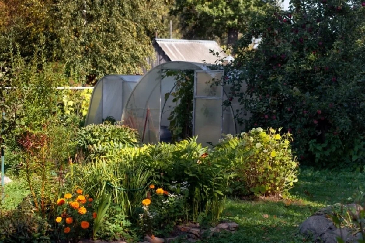    Работайте на участке, выполняя все ваши планы — и вам воздастся!