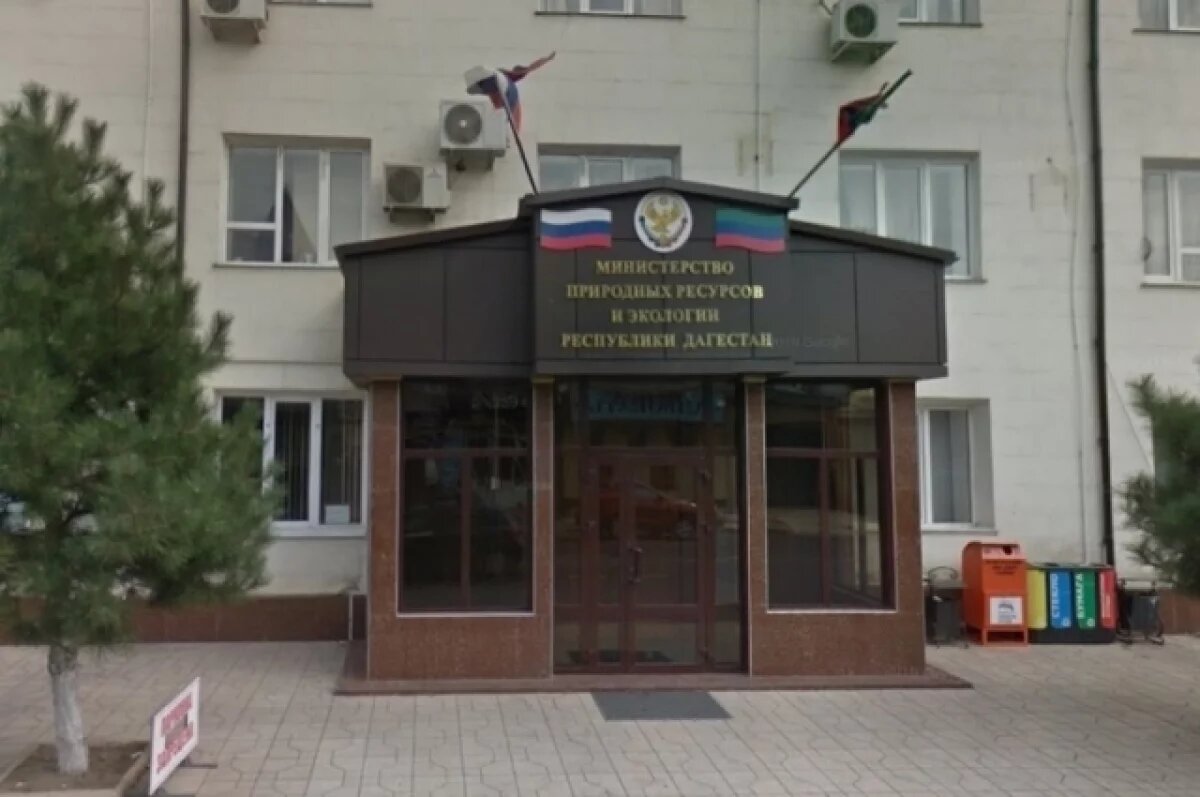    Силовики в масках провели обыски в Минприроды Дагестана