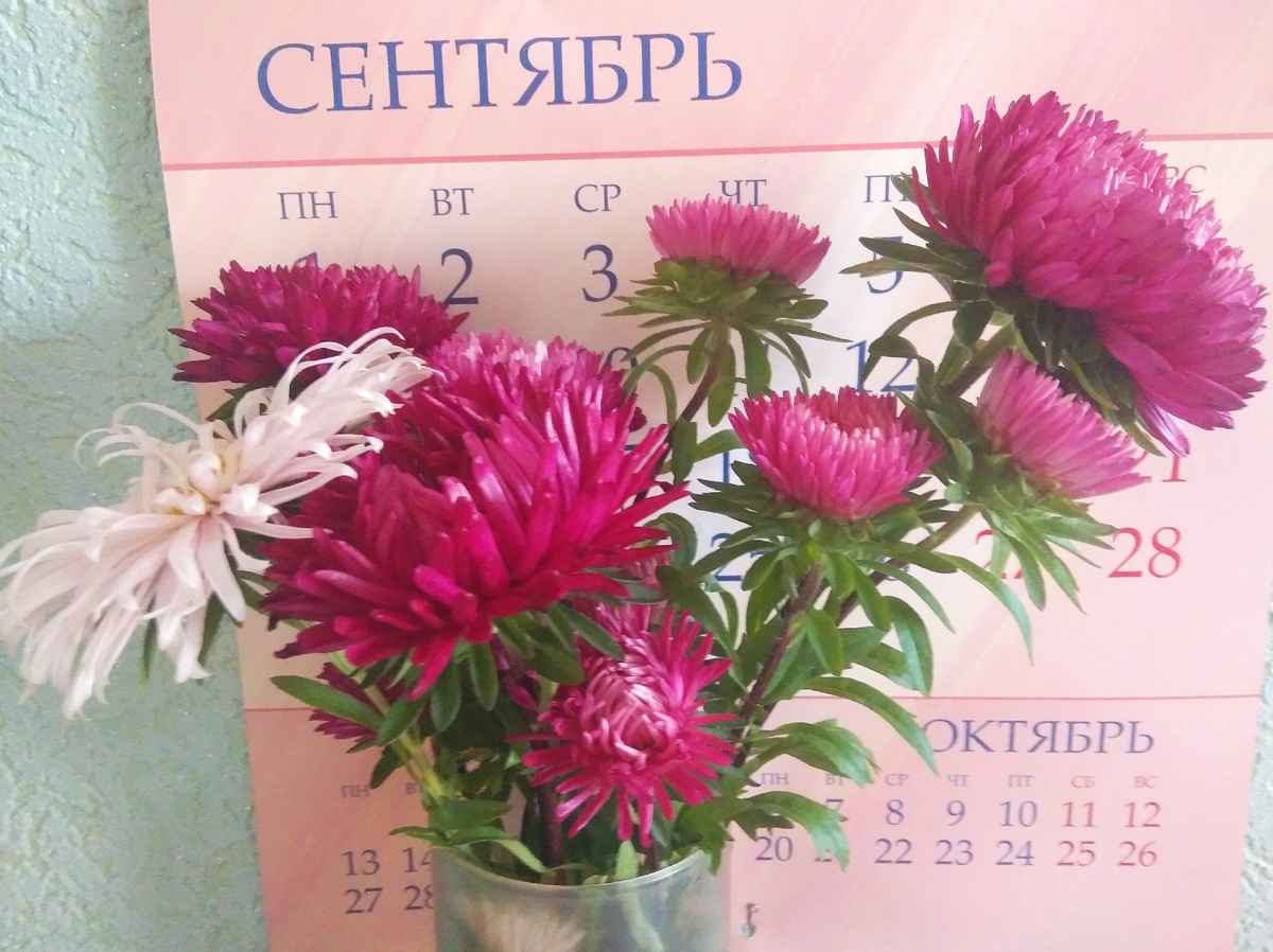 Букет для воспитателей