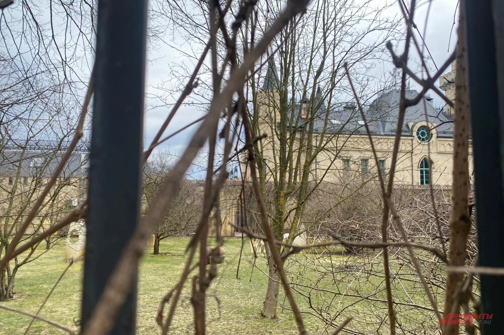    Замок Пугачевой и Галкина в деревне Грязь. Фото: АиФ/ Полина Кондратова