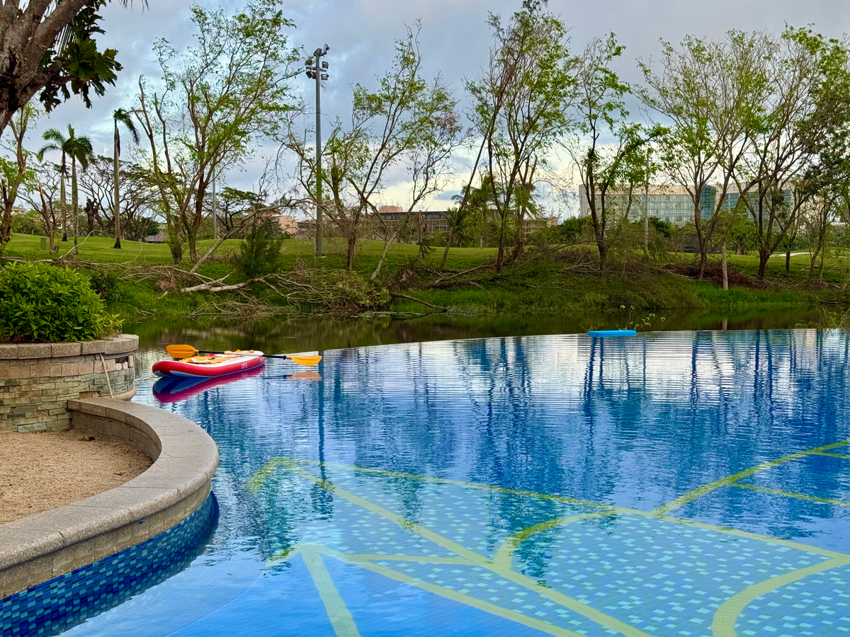 Сломанные деревья после тайфуна на острове Хайнань. Санья, сентябрь 2025 года 