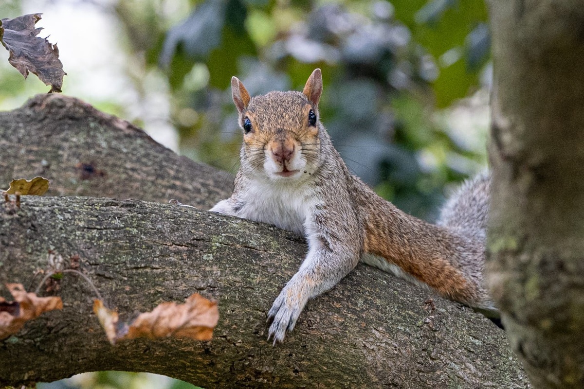 Фото: Jen Golbeck/Keystone Press Agency/www.globallookpress.com