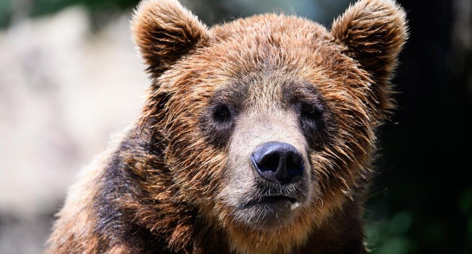    Bernd von Jutrczenka/dpa / www.globallookpress.com