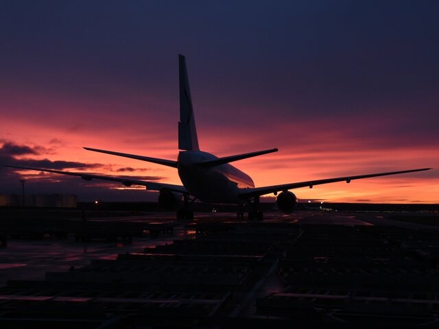    Фото: Москва 24/Никита Симонов