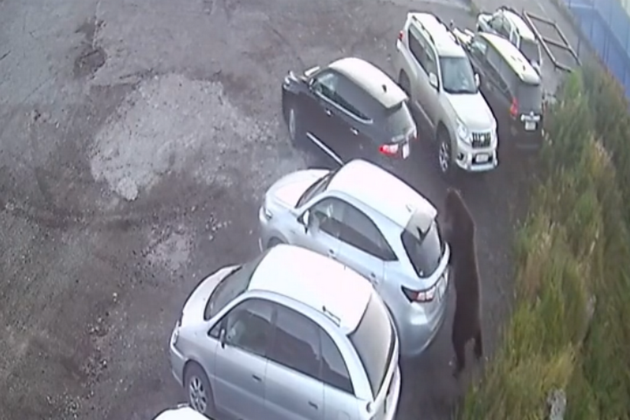     / Источник: Кадр из видео