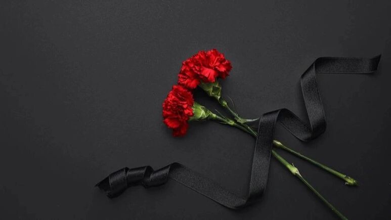    Фото: Pixel-Shot/Shutterstock/Fotodom