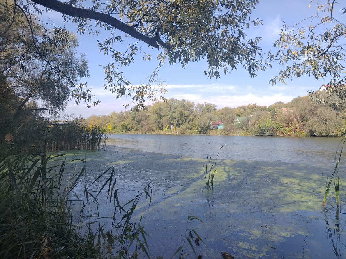 Фото  автора, Свияга осенью