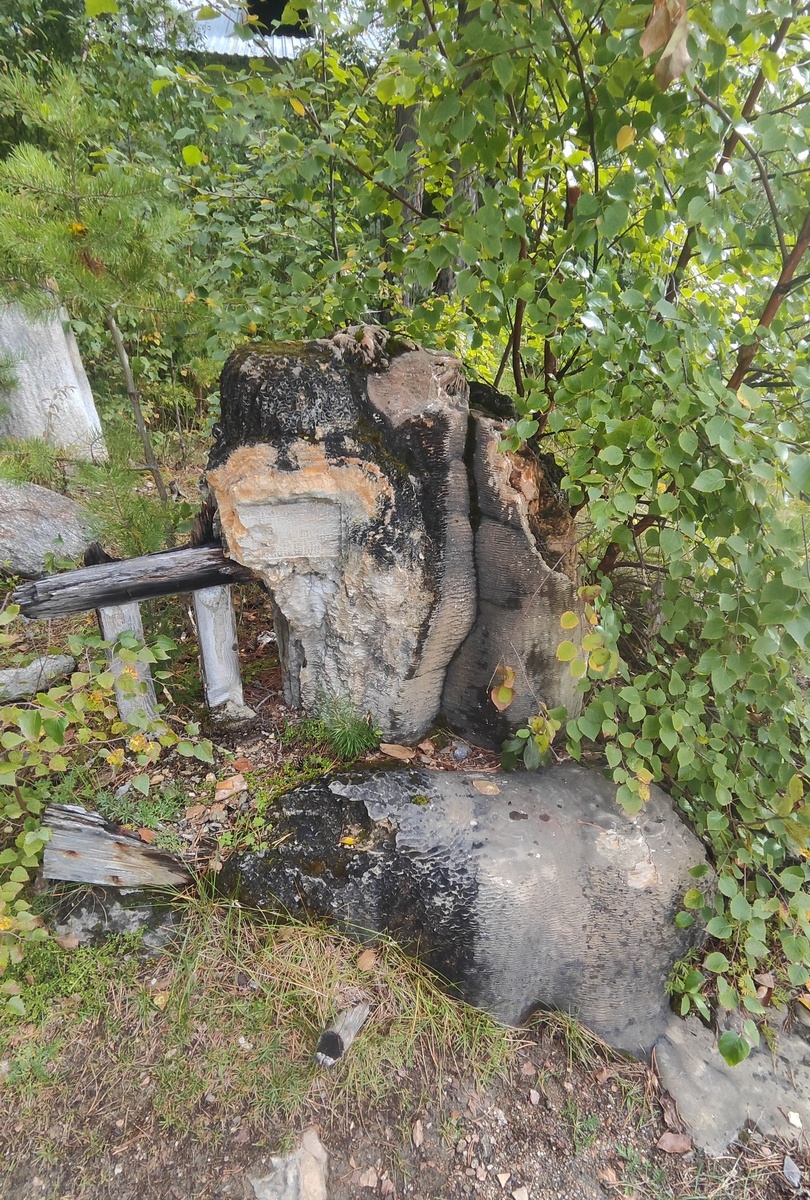 Общий вид обломков «мусора»