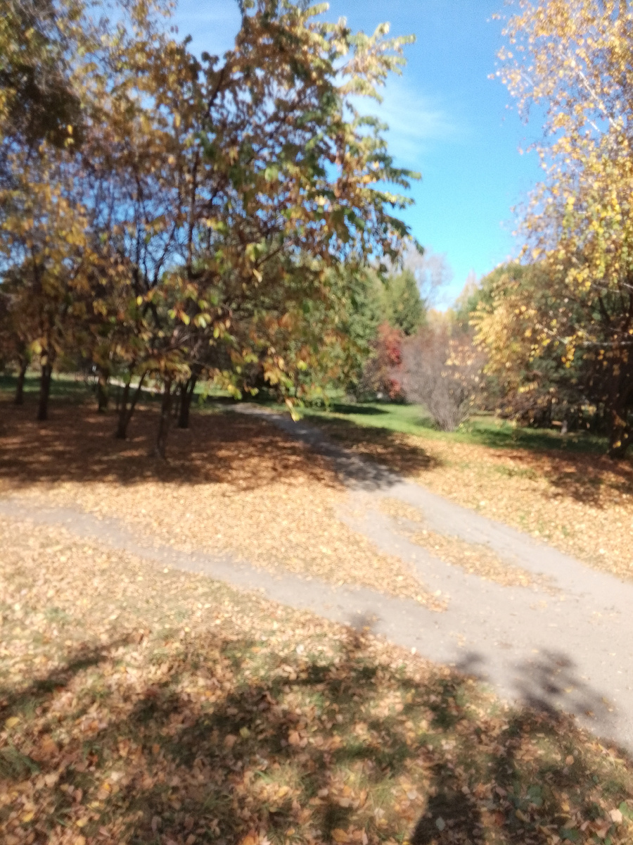 25 сентября  +25 фото автора. Как прекрасна осень.