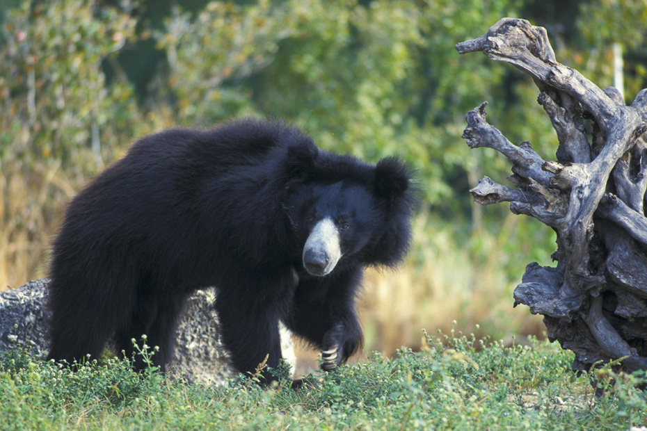    jspix/imagebroker.com/Global Look Press