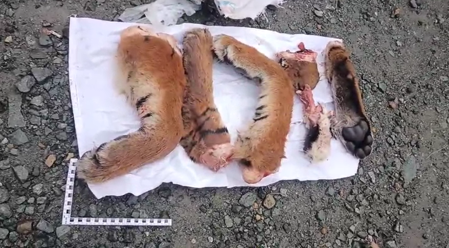    Источник фото: