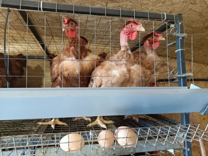    Фото:Виктория Андреева