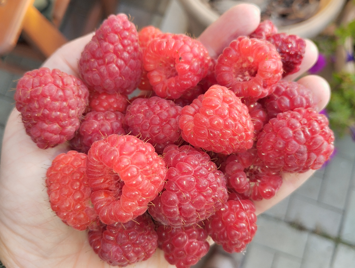 А это вот прям сегодня, 25.09.2025