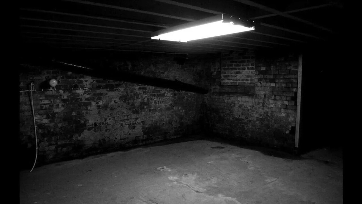 Изображение взято из открытых источников интернета. 