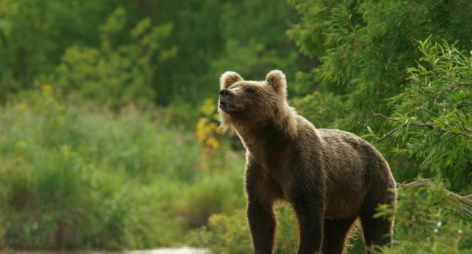    Marko König/imageBROKER.com / www.globallookpress.com