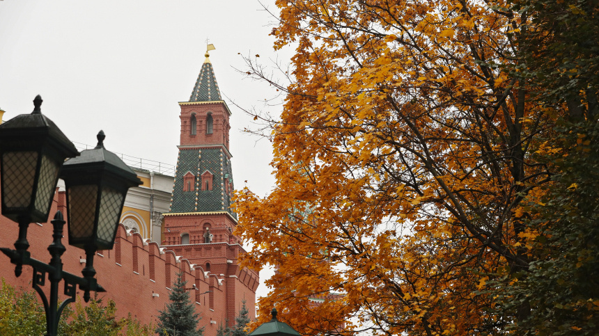    Фото: ИЗВЕСТИЯ/АНДРЕЙ ЭРШТРЕМ