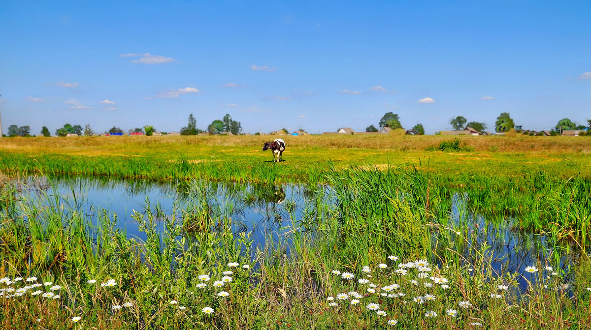 в выходной поехал в деревню