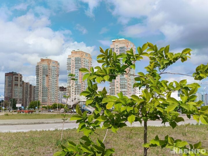    Фото:Виктория Андреева