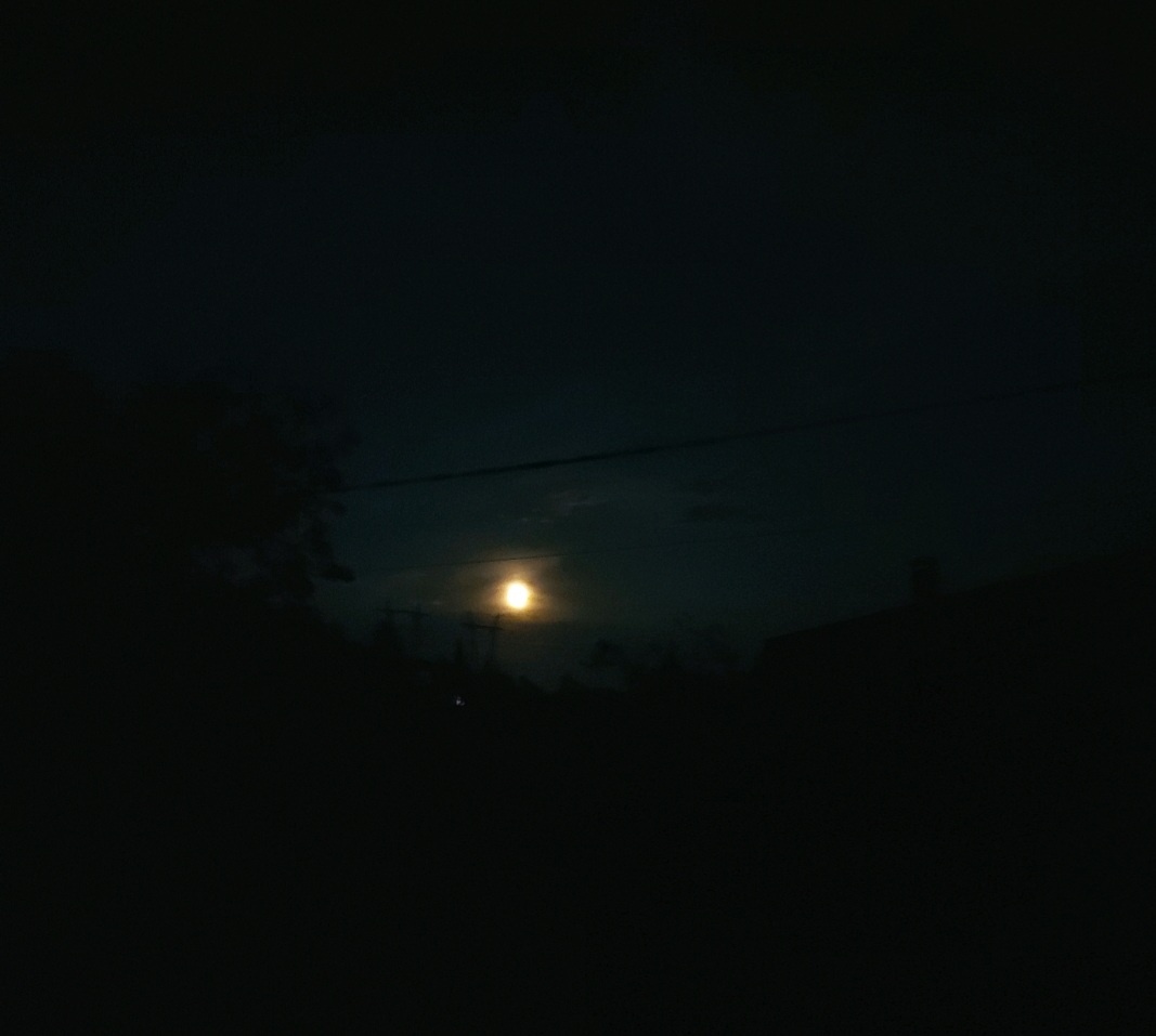 Ночь и Луна. Фото автора канала.