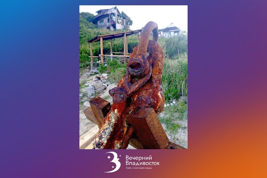 Фото: ФГБУ "Земля леопарда"