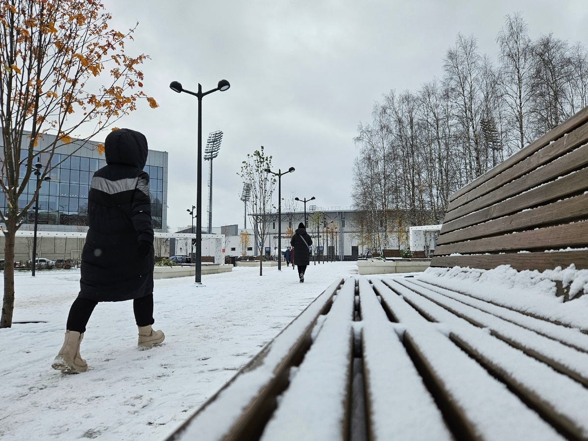    Какой будет зима 2025-2026 в России: прогноз погоды на декабрь, январь и февраль