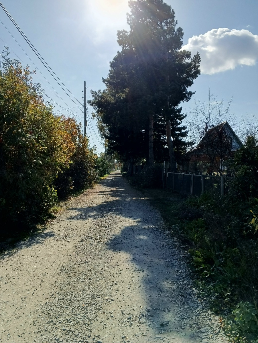 Аллея образца 24.09.2025