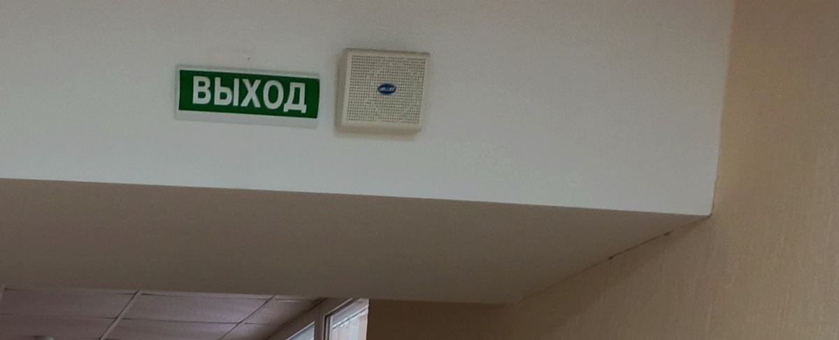 Фото автора.