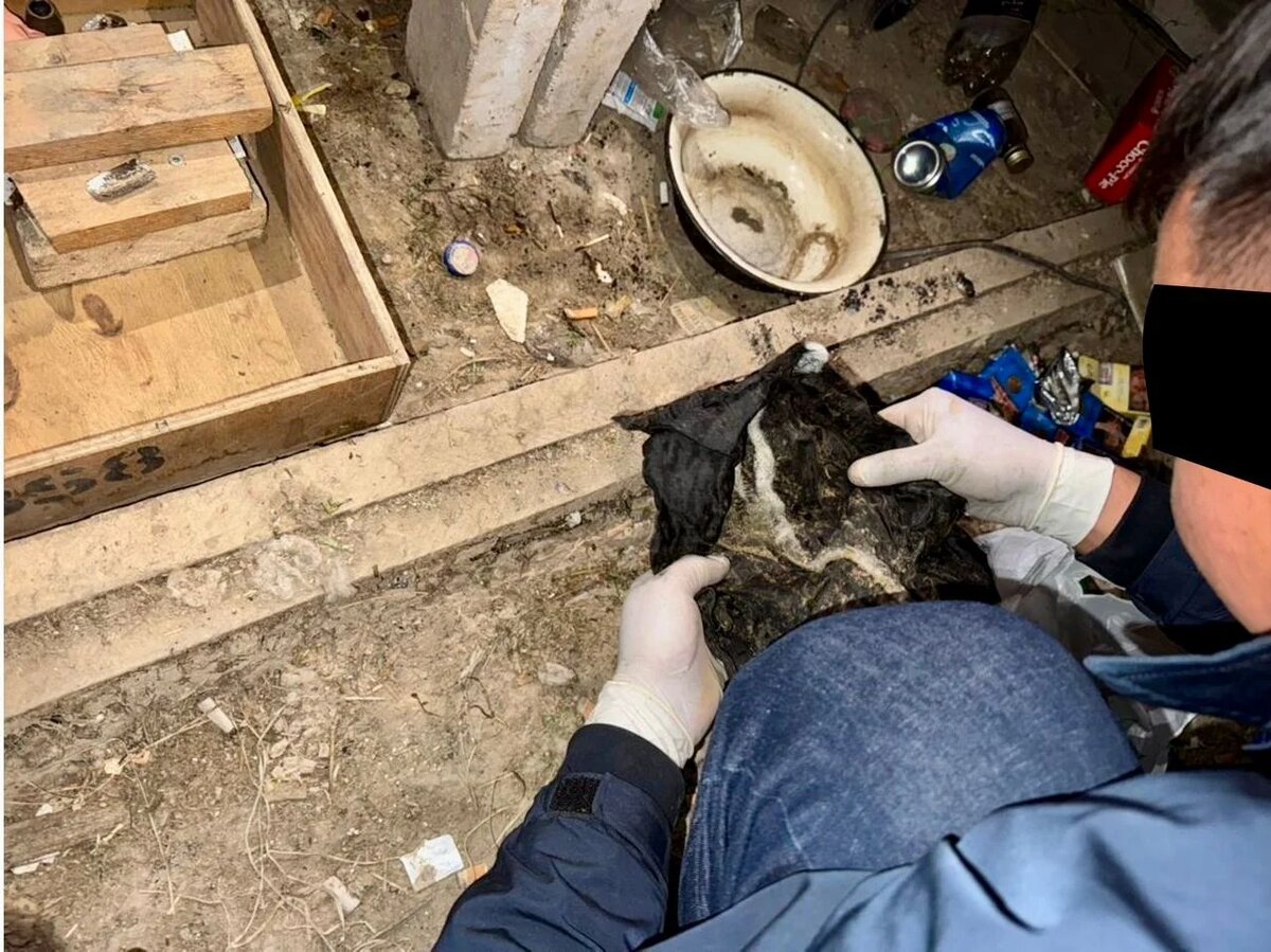 Листайте вправо, чтобы увидеть больше изображений