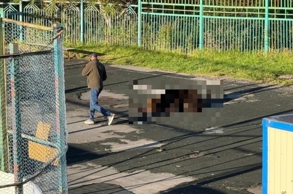    Медведь напал на женщину на стадионе возле школы, его ликвидировали.