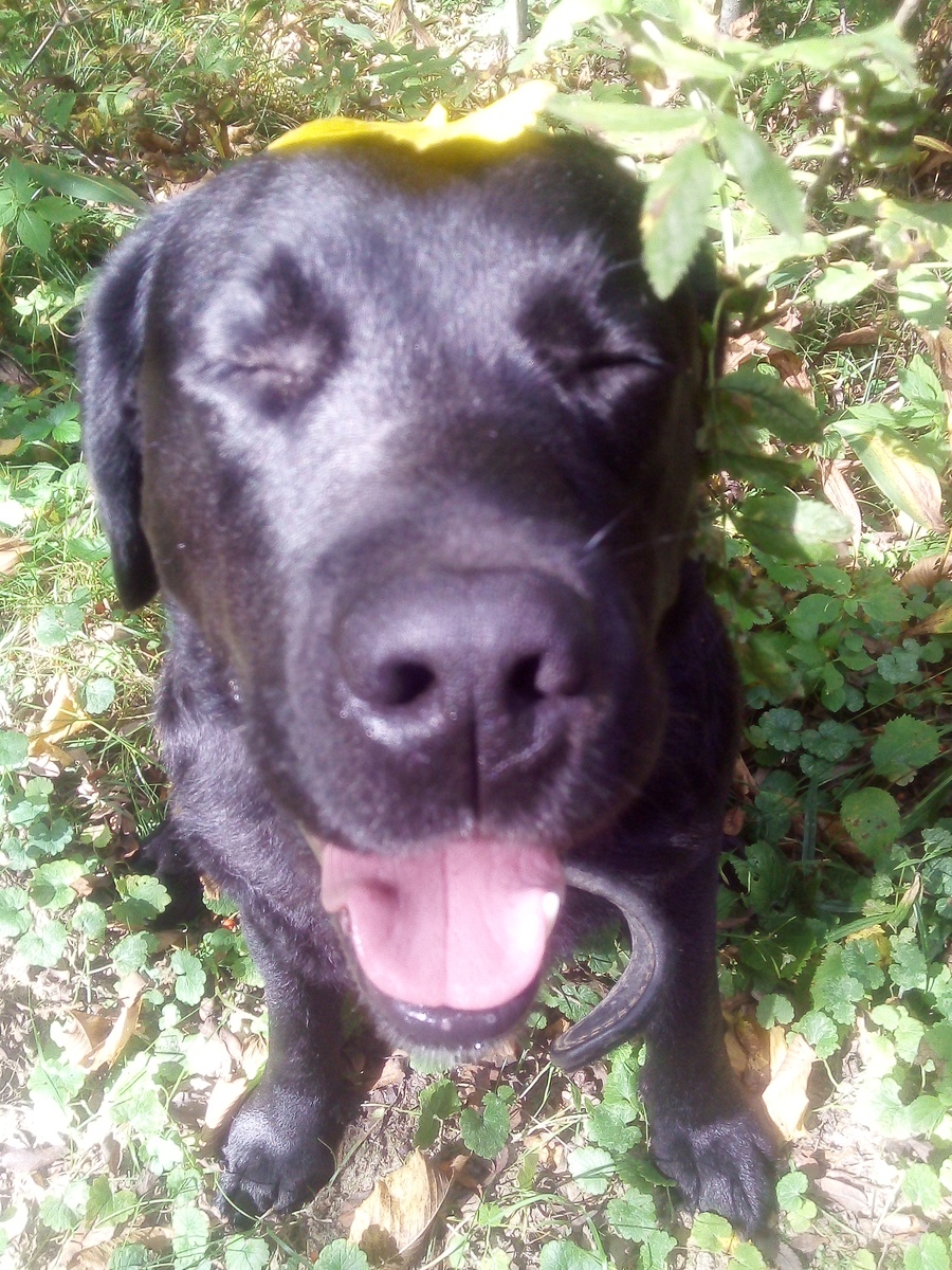 Фото автора.